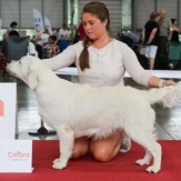 lili6.jpg